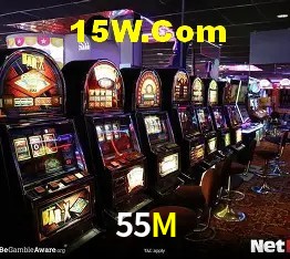 Sistemas de Segurança 55M