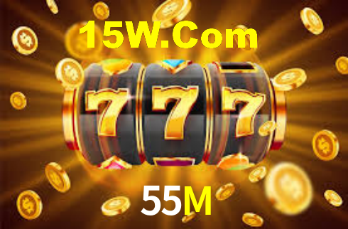 55M - Installation Guide