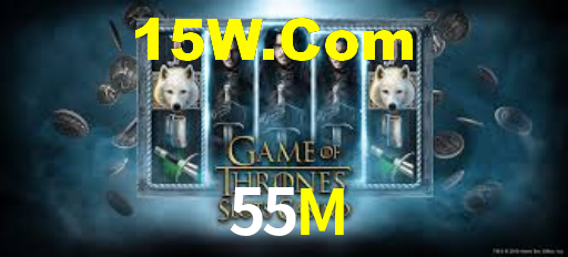 Premium Interface 55M